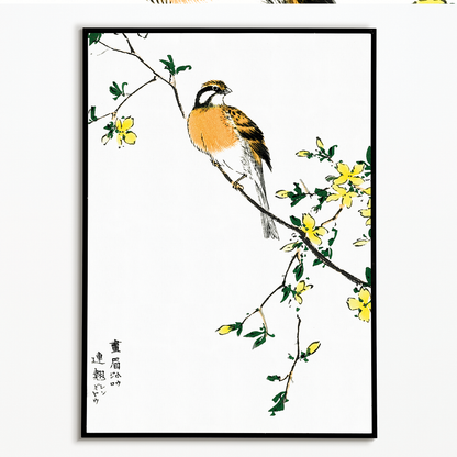 Japanese Meadow Bunting and Golden Ball By Numata Kashu - Art Print