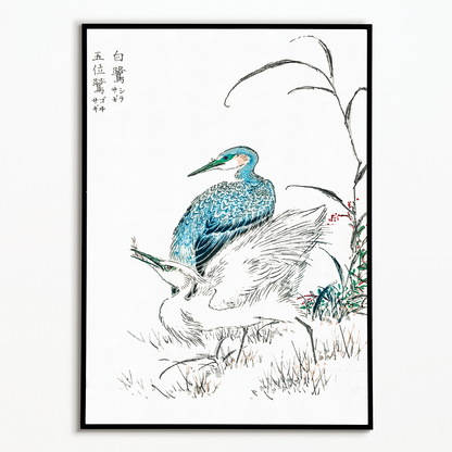 Night Heron and Little Egret By Numata Kashu - Art Print