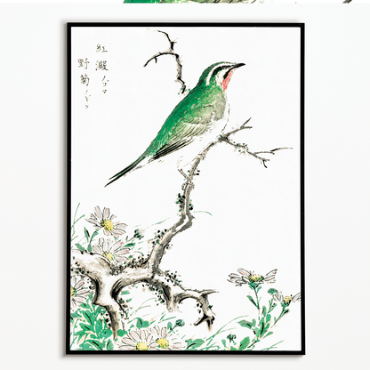 Ruby Throat and Wild Camomile By Numata Kashu - Art Print