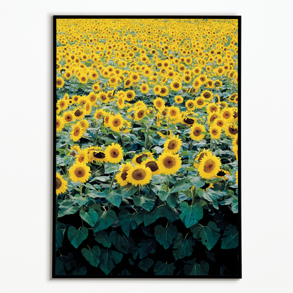 Sunflower Field Japanese Woodblock - Art Print