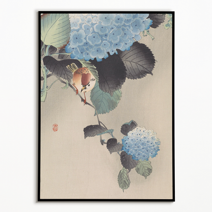 Sparrow and blue-white hortensia by Ohara Koson  - Art Print