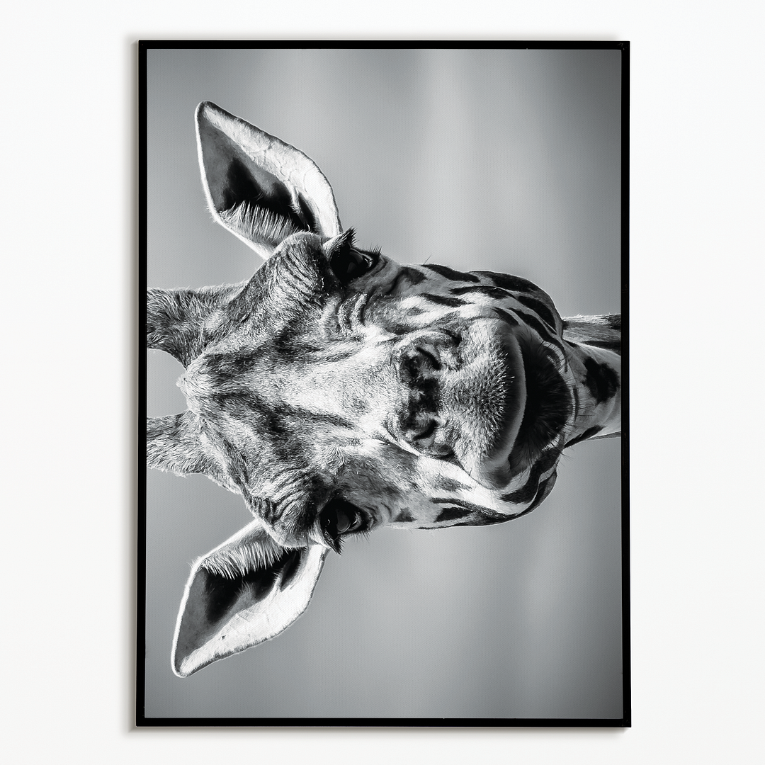 It's a giraf (Horizontal) - Art Print