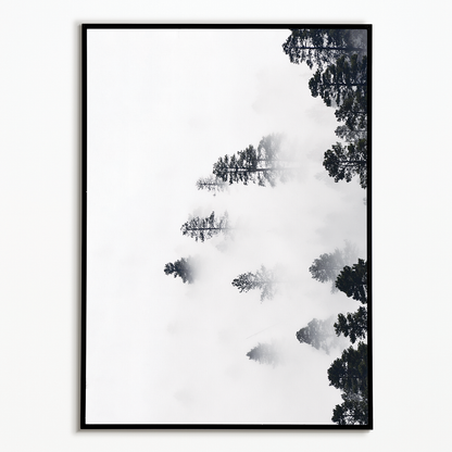 Trees Amidst the Mysterious Mist - Art Print