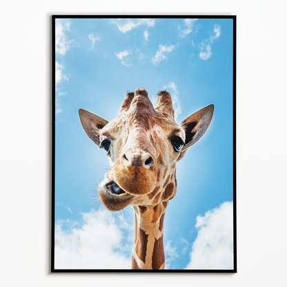 It's a goofy giraf - Art Print