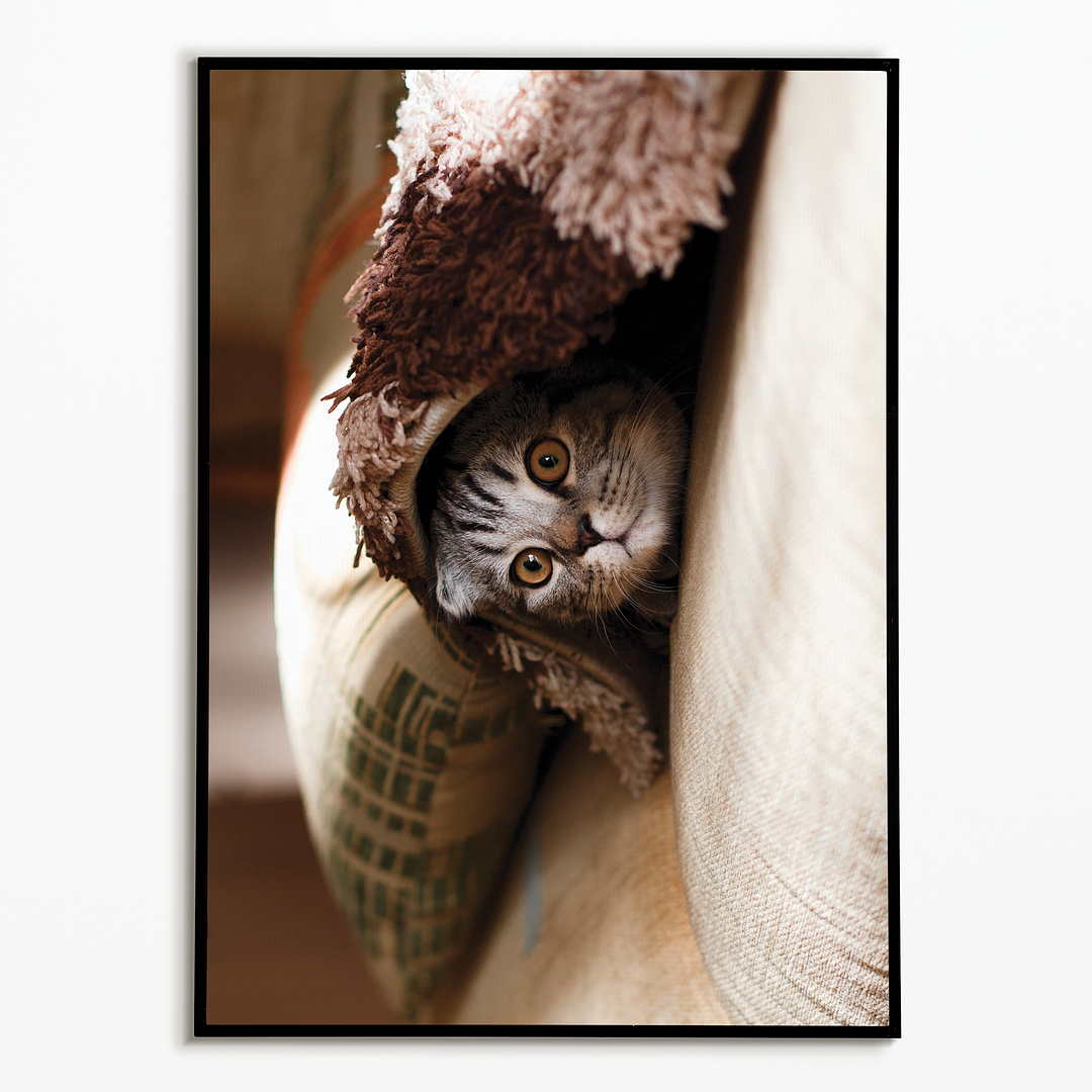 Cute cat hiding under blanket - Art Print