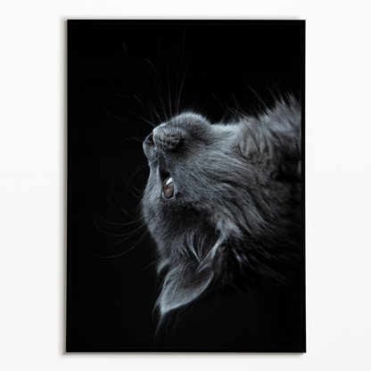 Cute gray cat - Art Print