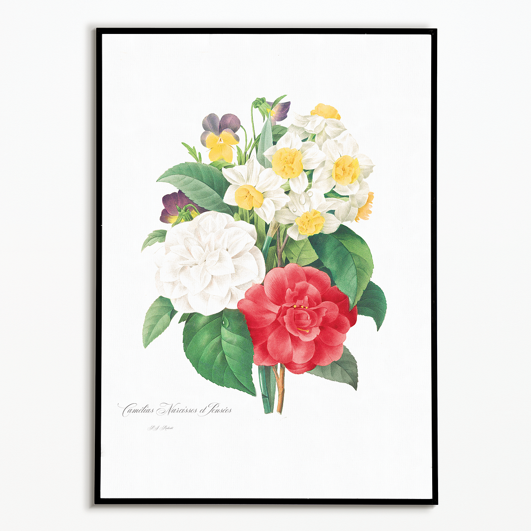 Camellia Narcissus and Pansy bouquet By Pierre-Joseph Redouté - Art Print