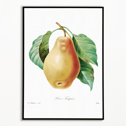 Pear by Pierre-Joseph Redouté - Art Print