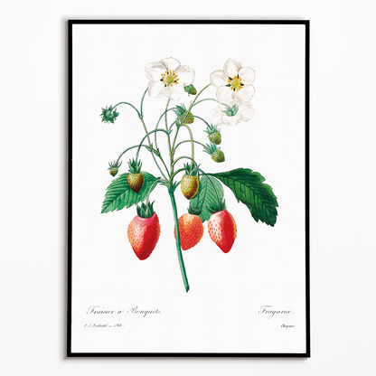 Strawberry by Pierre-Joseph Redouté - Art Print