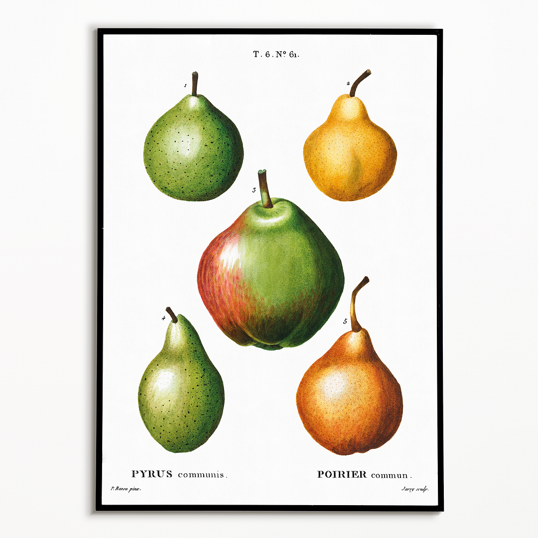 Pears By Pierre-Joseph Redouté - Art Print