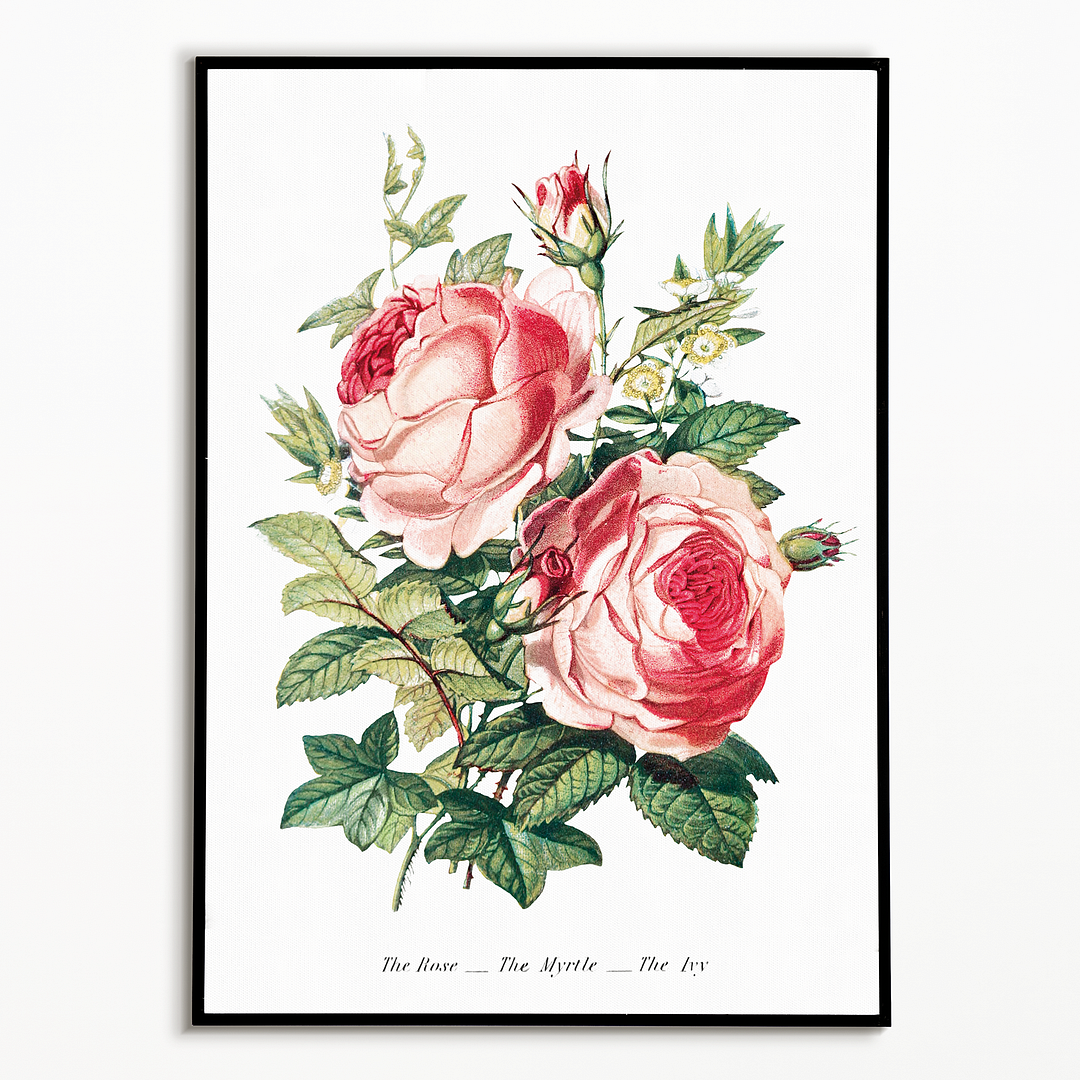 The Rose, the Myrtle and the Ivy - Art Print