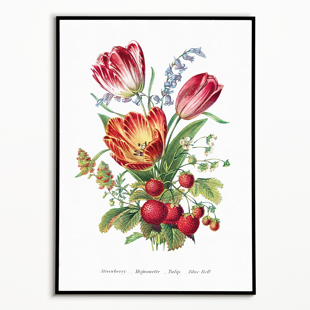 Strawberry, Mignonette, Tulip, and Blue Bell - Art Print