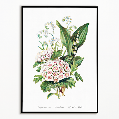 Forget Me Not, Hawthorn and Lily of the Valley - Art Print