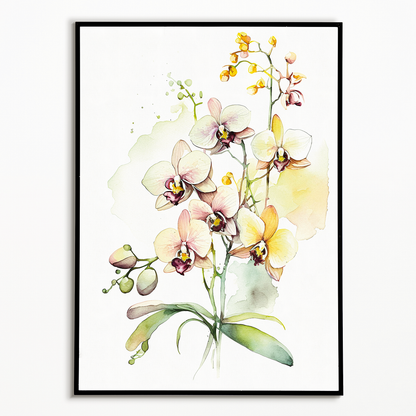 Orchids I - Art Print