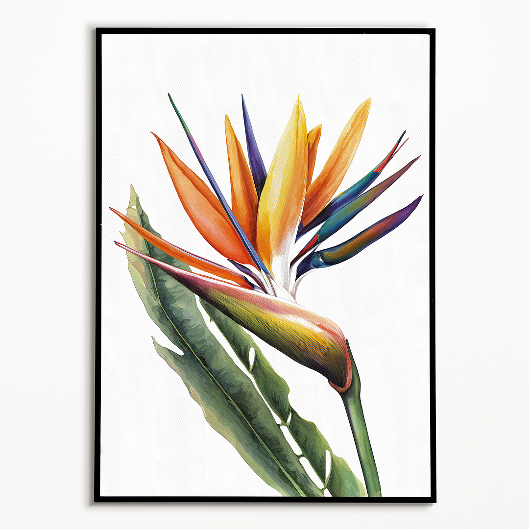 Strelitzia IV - Art Print