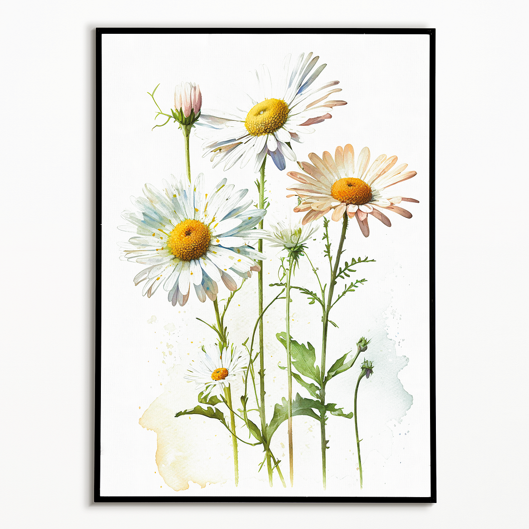 Daisies II - Art Print