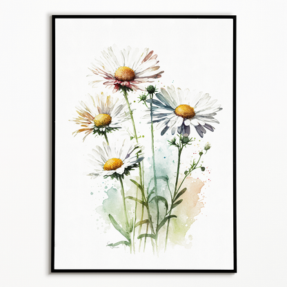 Daisies IV - Art Print