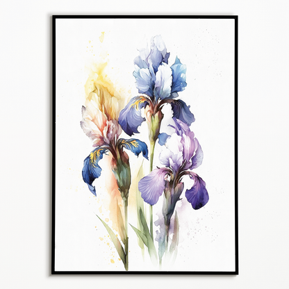 Irises 1 - Art Print