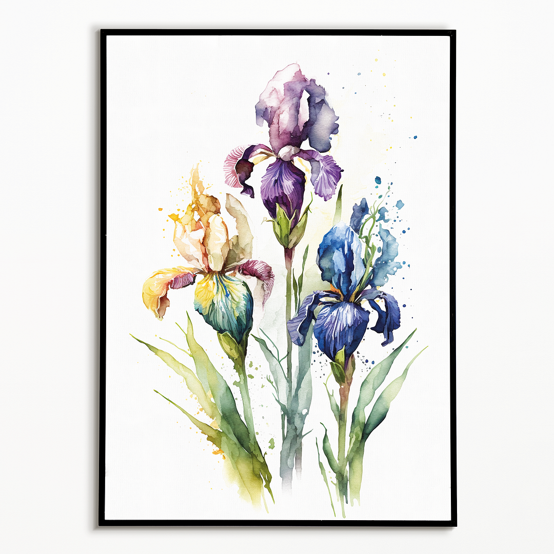 Irises 3 - Art Print