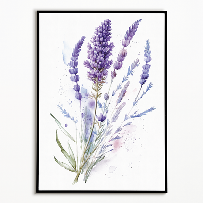 Lavender 2 - Art Print