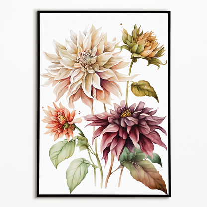 Dahlia's 2 - Art Print