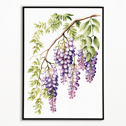 wisteria 1 - Art Print