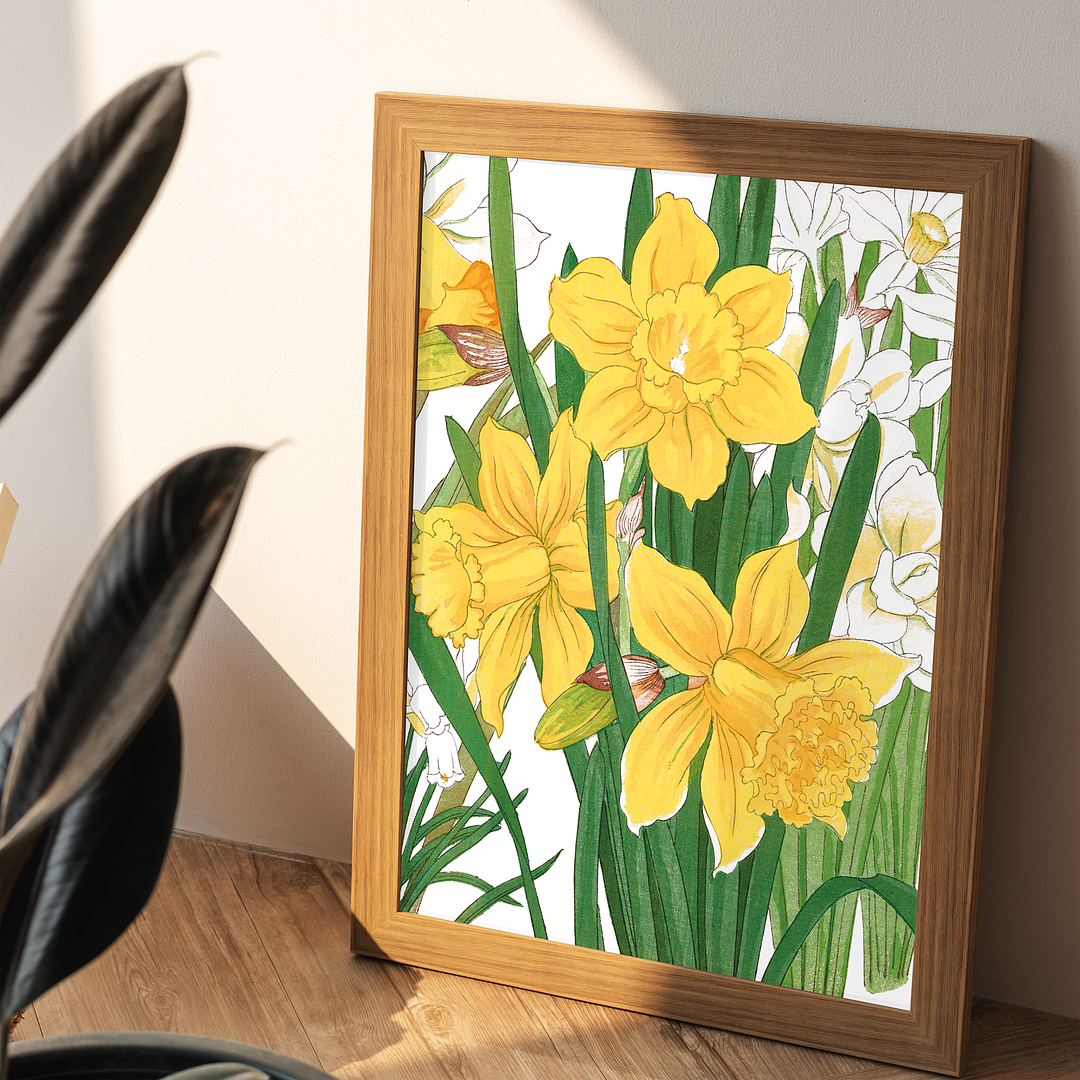 Daffodil By Tanigami Kônan Art-Print