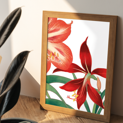 Amaryllis By Tanigami Kônan Art-Print