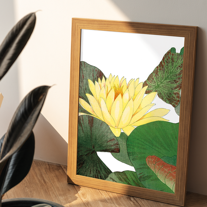 Nymphaea Lotus By Tanigami Kônan Art-Print