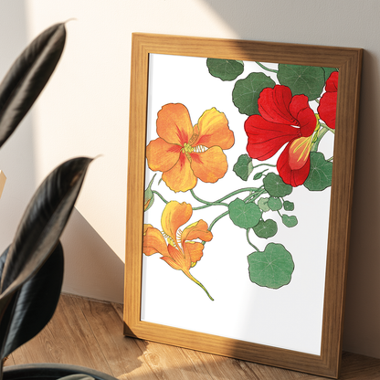 Nasturtium flower By Tanigami Kônan Art-Print