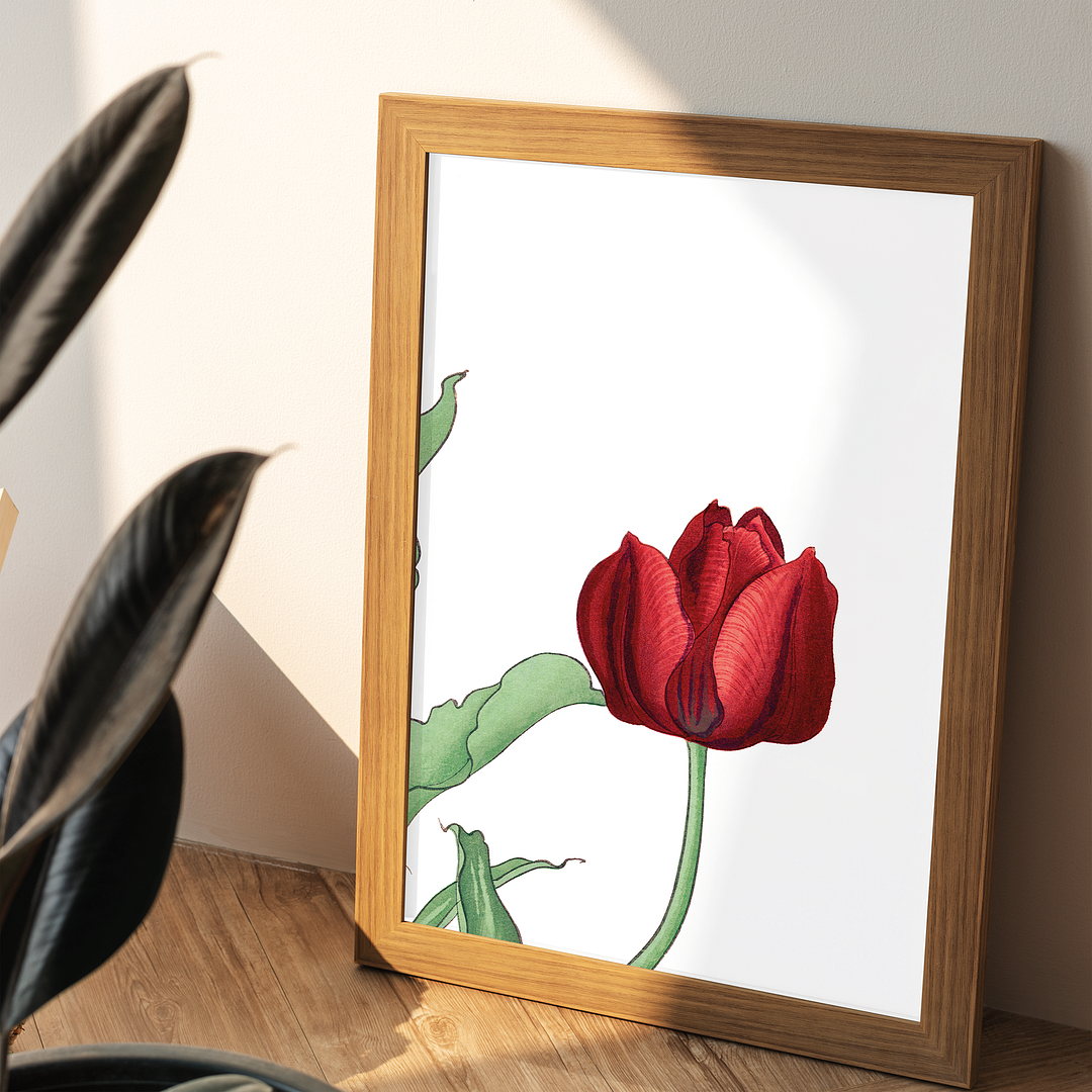 Red Tulip By Tanigami Kônan Art-Print