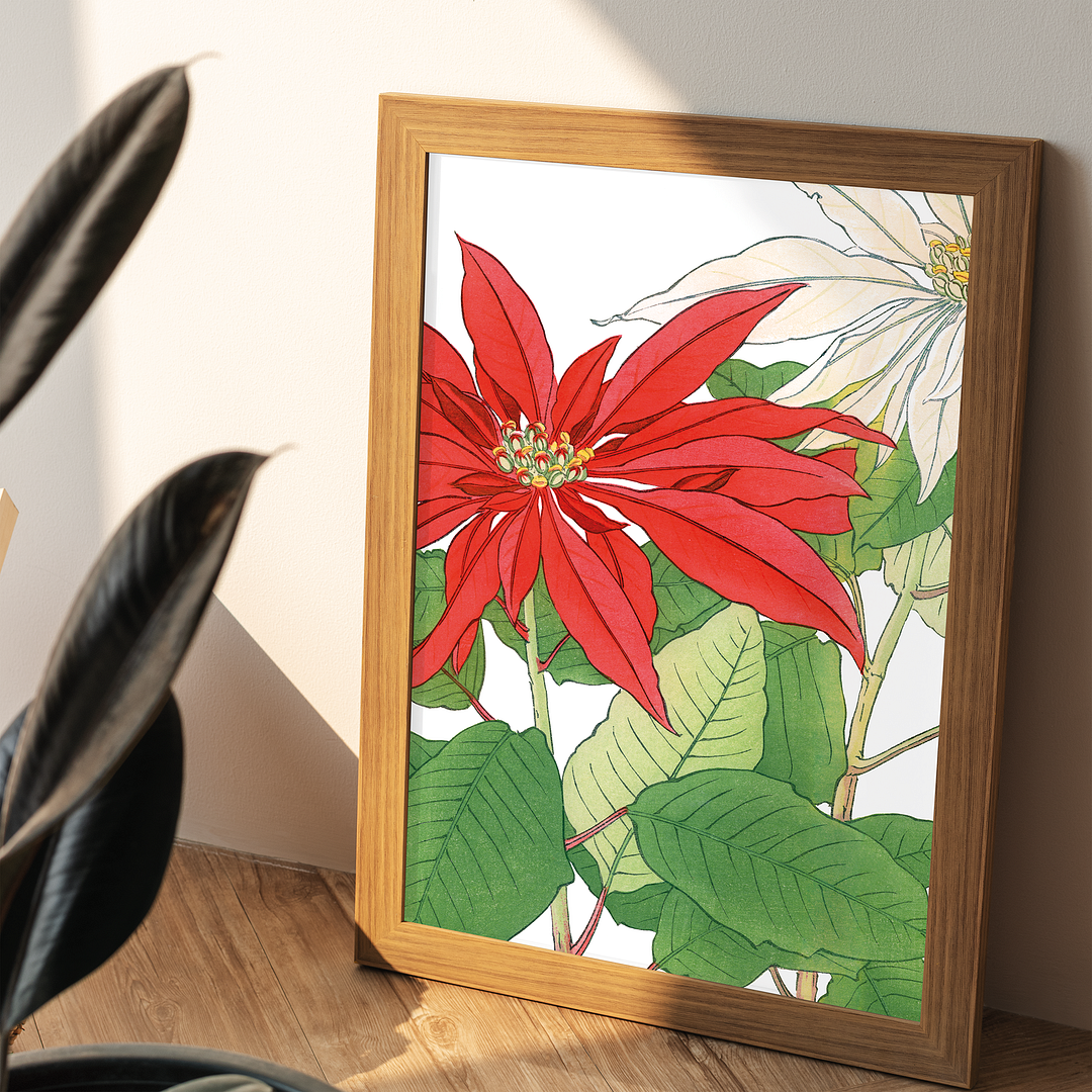 Poinsettia By Tanigami Kônan Art-Print