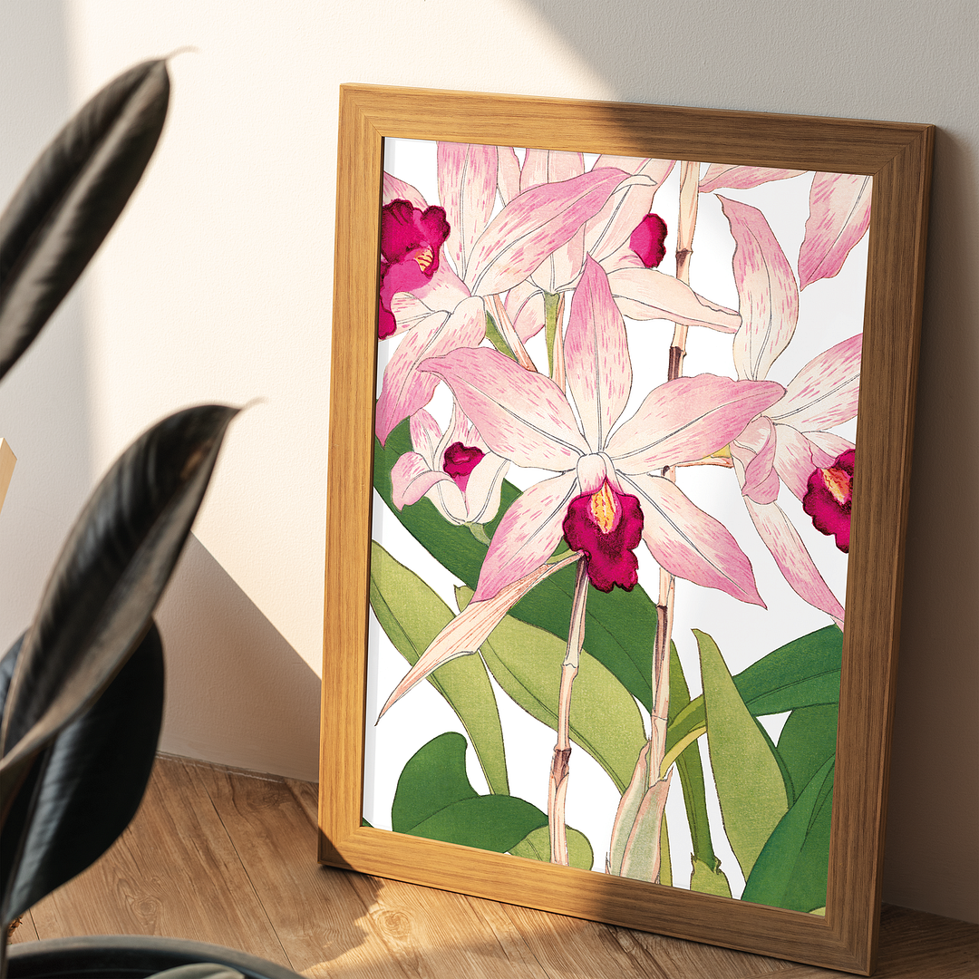 Orchid By Tanigami Kônan Art-Print