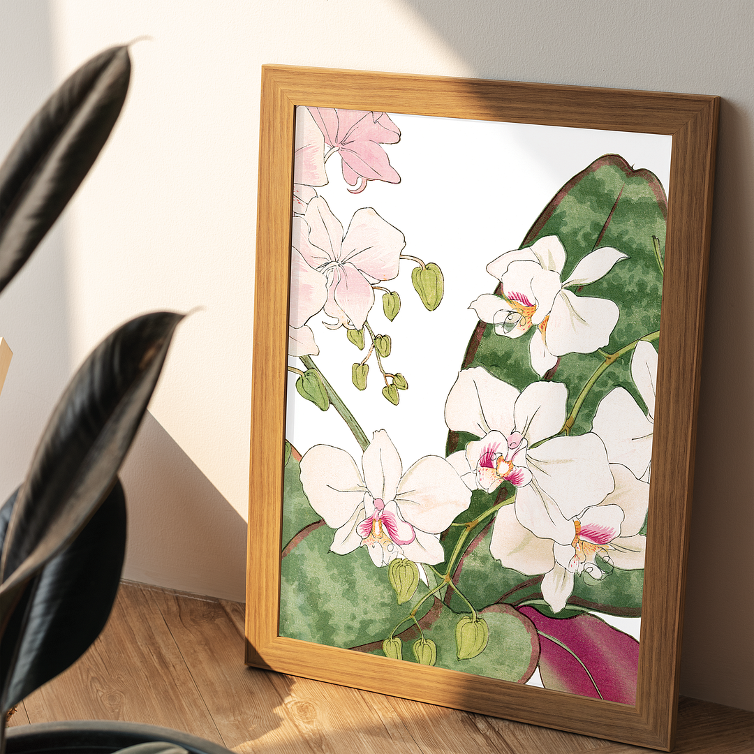 Orchids flower By Tanigami Kônan Art-Print