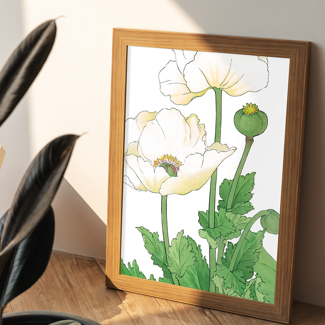 White Poppies By Tanigami Kônan Art-Print