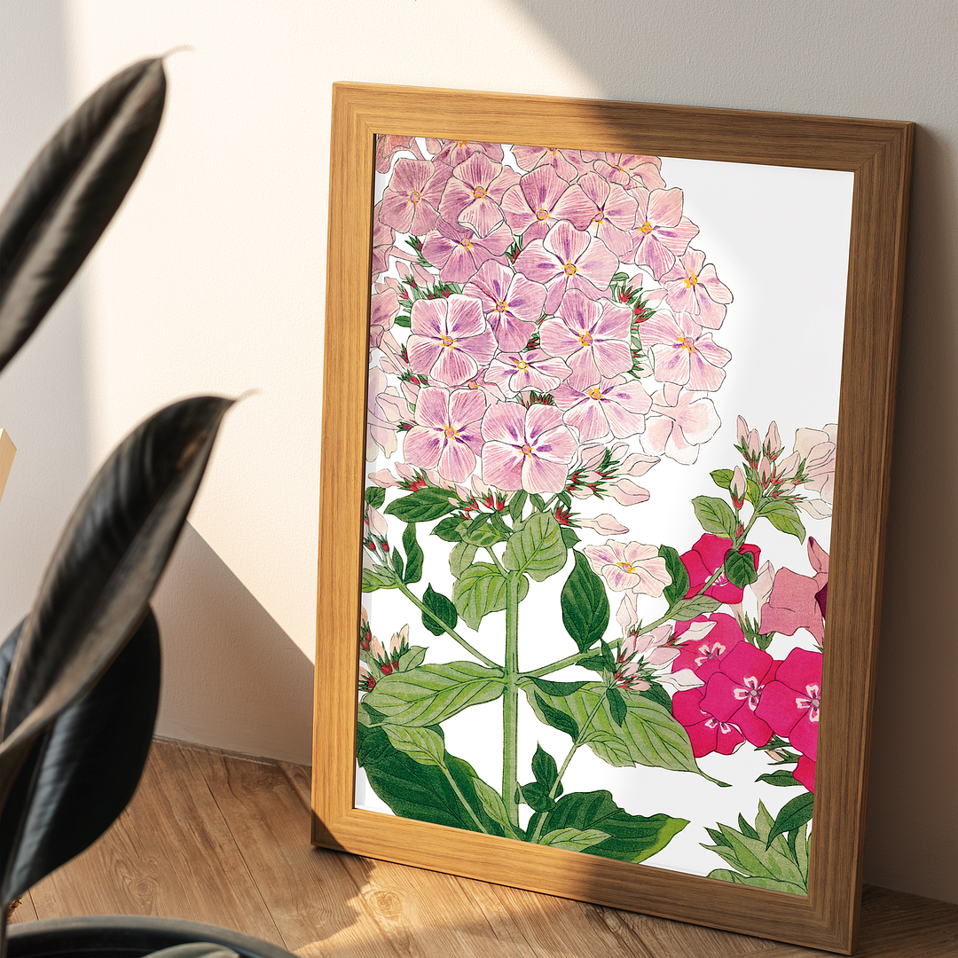 Phlox By Tanigami Kônan Art-Print