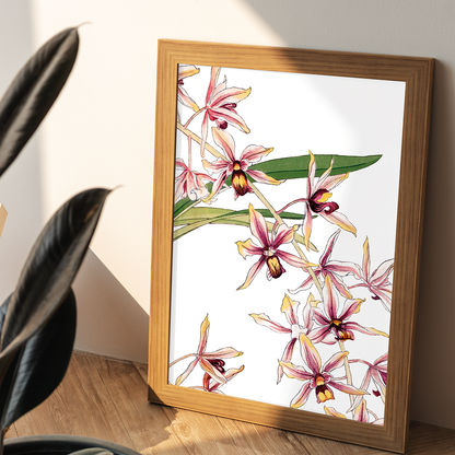 Cymbidium Orchid By Tanigami Kônan Art-Print