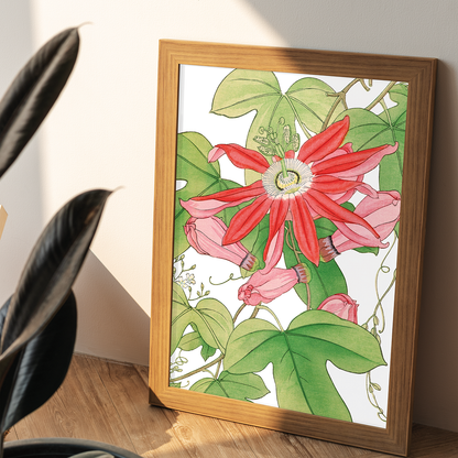 Passion flower By Tanigami Kônan Art-Print