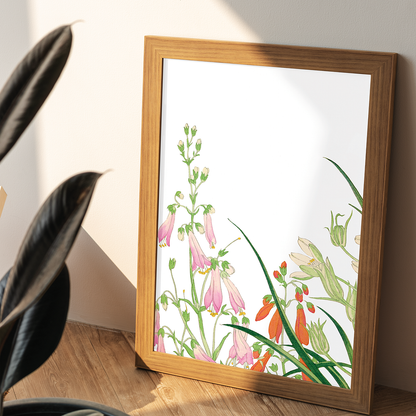 Ornithogalums By Tanigami Kônan Art-Print