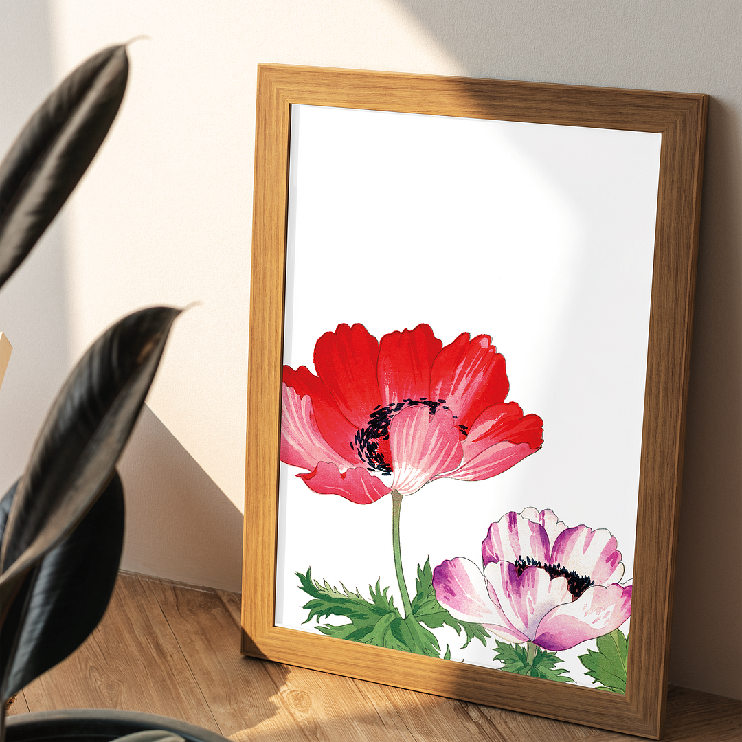 Red & Pink Poppy By Tanigami Kônan Art-Print