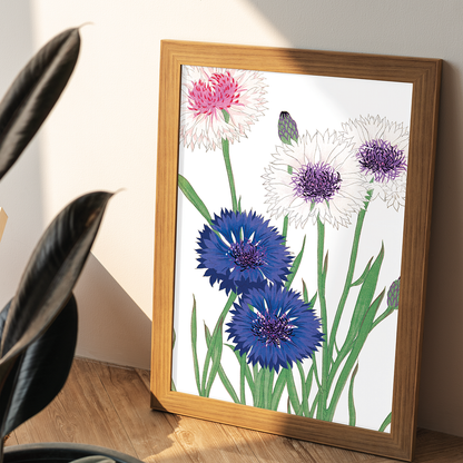 Cornflower By Tanigami Kônan Art-Print