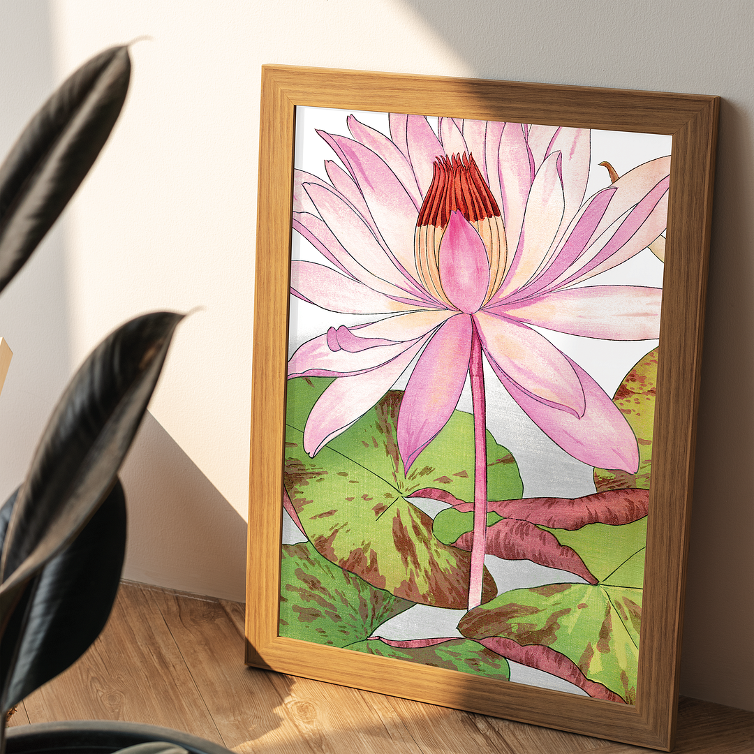 Nymphaea Lotus By Tanigami Kônan Art-Print