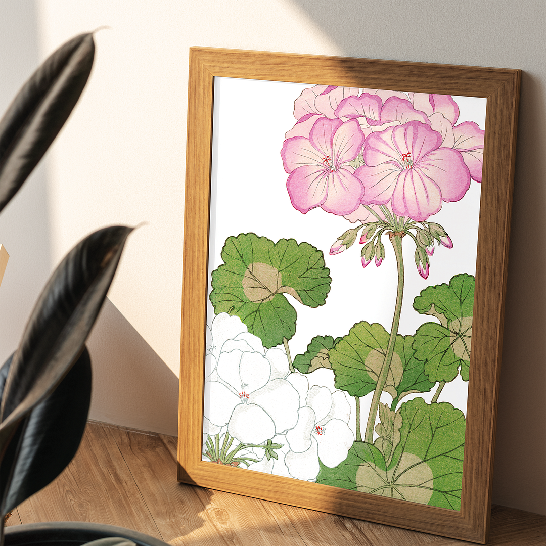 White & Pink Geranium By Tanigami Kônan Art-Print