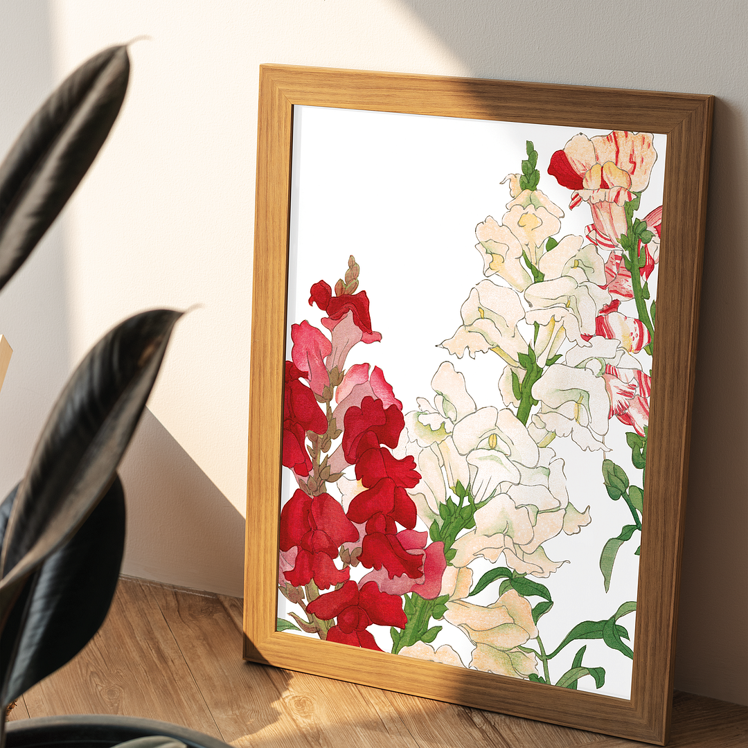 Antirrhinum By Tanigami Kônan Art-Print