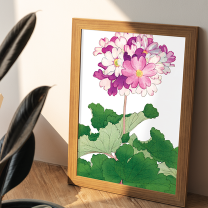 Primrose Flower By Tanigami Kônan Art-Print