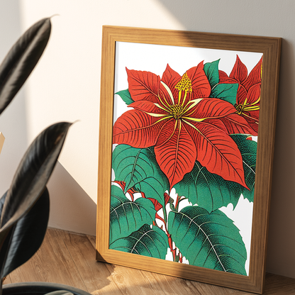 Amaryllis  Art-Print