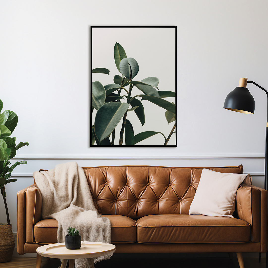 indoor Rubber Plant - Art Print
