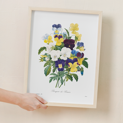 Pansy bouquet By Pierre-Joseph Redouté - Art Print