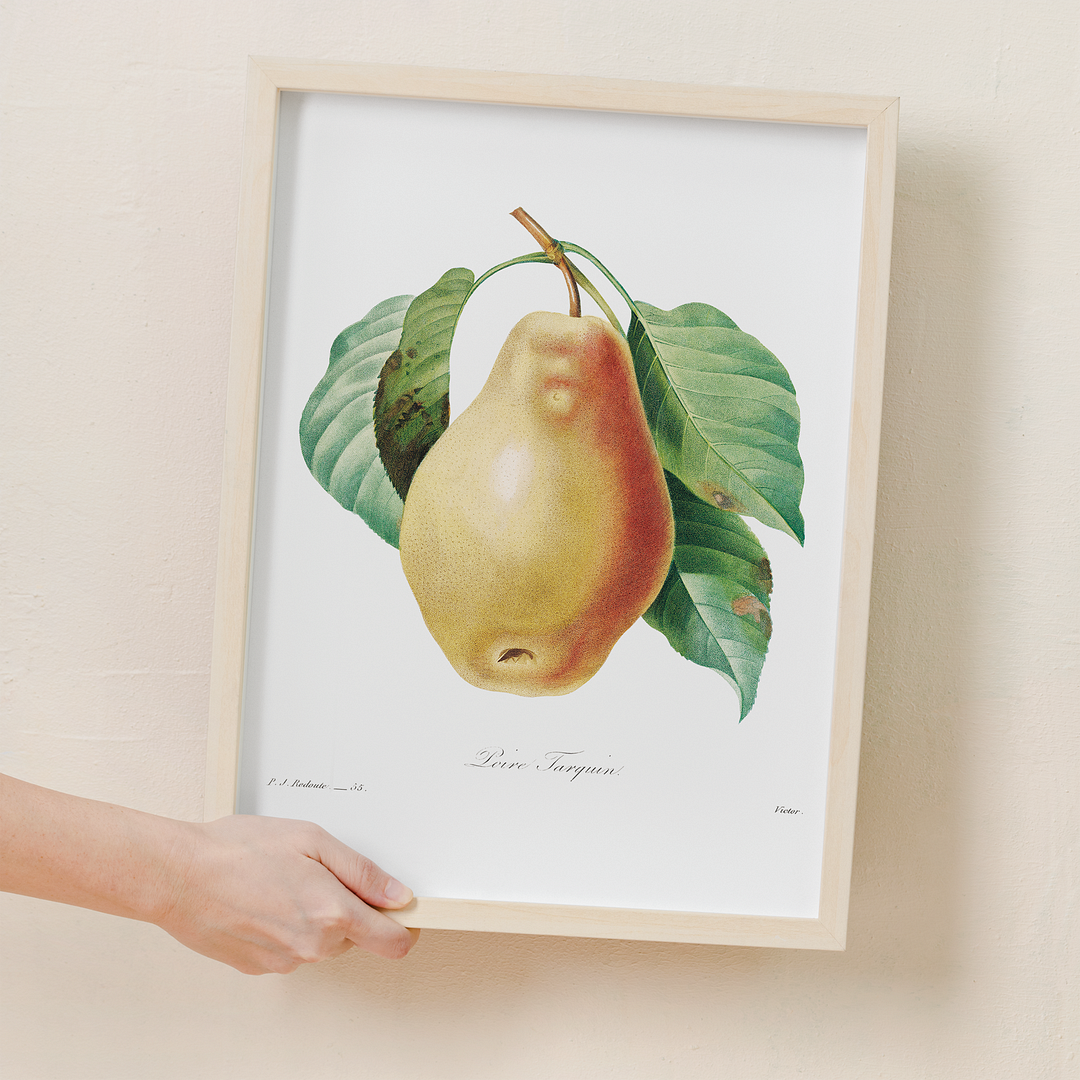 Pear by Pierre-Joseph Redouté - Art Print