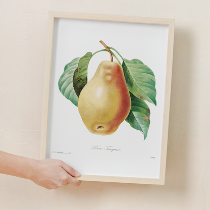 Pear by Pierre-Joseph Redouté - Art Print